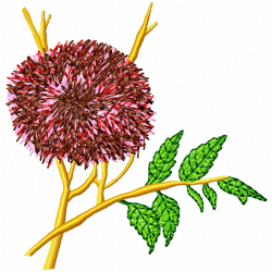 Various Birds Embroidery Design 5